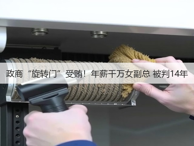 政商“旋转门”受贿！年薪千万女副总 被判14年(图3)