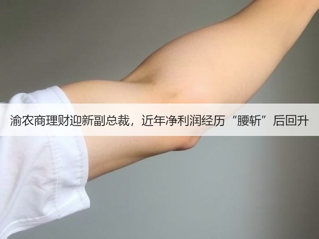 渝农商理财迎新副总裁,近年净利润经历“腰斩”后回升(图3) 渝农商理财迎新副总裁,近年净利润经历“腰斩”后回升(图3)