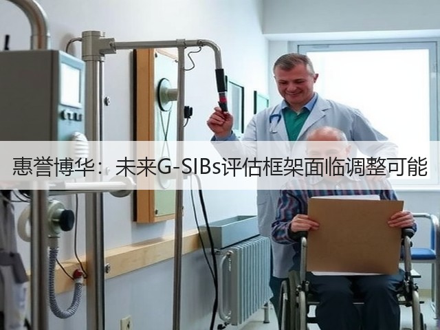 惠誉博华:未来G-SIBs评估框架面临调整可能(图3) 惠誉博华:未来G-SIBs评估框架面临调整可能(图3)