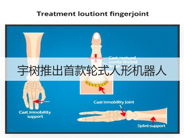 宇树推出首款轮式人形机器人(图3) 宇树推出首款轮式人形机器人(图3)