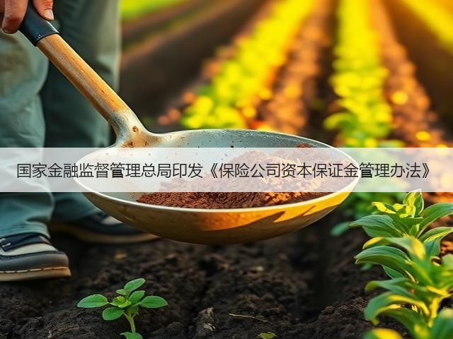 国家金融监督管理总局印发《保险公司资本保证金管理办法》(图1)