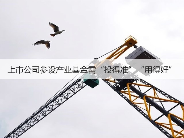 上市公司参设产业基金需“投得准”“用得好”(图1) 上市公司参设产业基金需“投得准”“用得好”(图1)