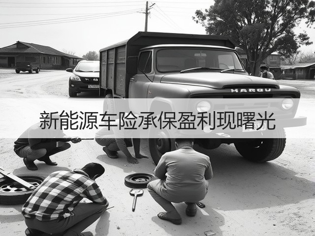 新能源车险承保盈利现曙光(图3) 新能源车险承保盈利现曙光(图3)