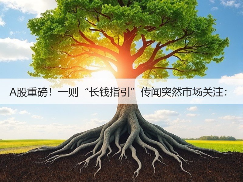 A股重磅！一则“长钱指引”传闻突然市场关注：
