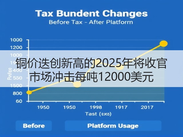 铜价迭创新高的2025年将收官 市场冲击每吨12000美元(图3)
