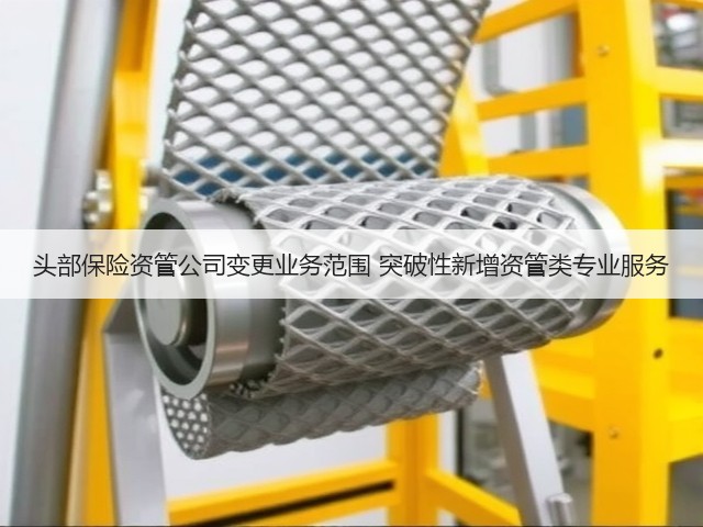 头部保险资管公司变更业务范围 突破性新增资管类专业服务(图3) 头部保险资管公司变更业务范围 突破性新增资管类专业服务(图3)