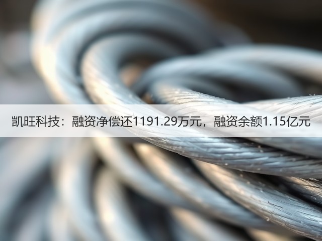 凯旺科技:融资净偿还1191.29万元,融资余额1.15亿元(图2) 凯旺科技:融资净偿还1191.29万元,融资余额1.15亿元(图2)