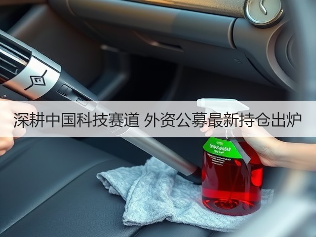 深耕中国科技赛道 外资公募最新持仓出炉(图2) 深耕中国科技赛道 外资公募最新持仓出炉(图2)