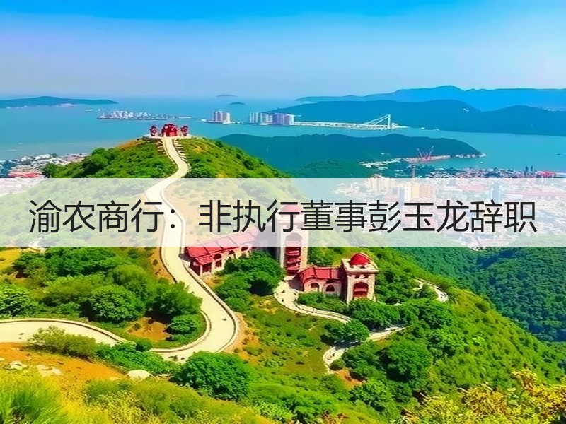 渝农商行：非执行董事彭玉龙辞职