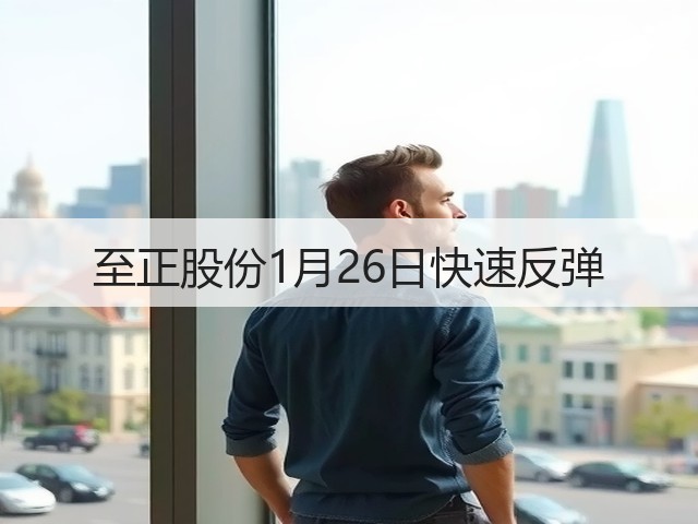 至正股份1月26日快速反弹(图3) 至正股份1月26日快速反弹(图3)