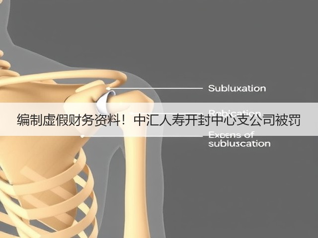 编制虚假财务资料!中汇人寿开封中心支公司被罚(图3) 编制虚假财务资料!中汇人寿开封中心支公司被罚(图3)