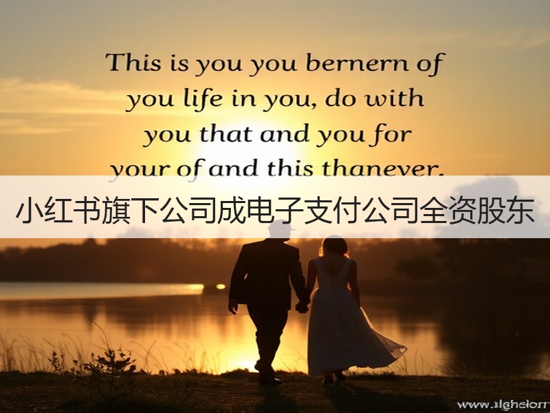 小红书旗下公司成电子支付公司全资股东