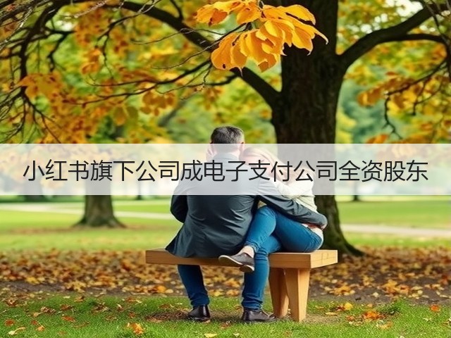 小红书旗下公司成电子支付公司全资股东(图3) 小红书旗下公司成电子支付公司全资股东(图3)