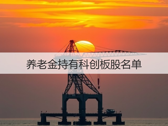 养老金持有科创板股名单(图2) 养老金持有科创板股名单(图2)