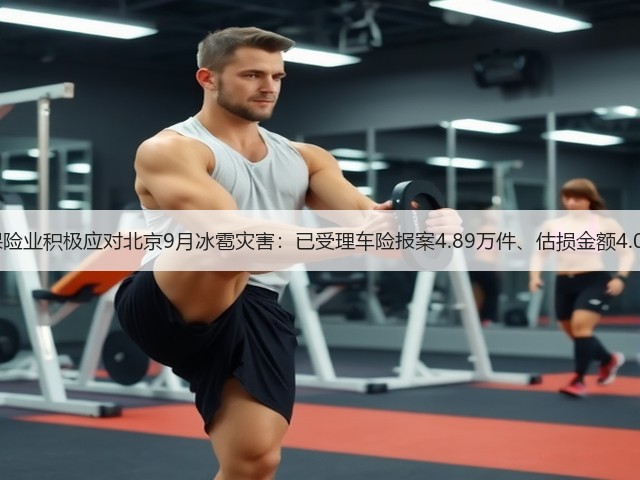 北京保险业积极应对北京9月冰雹灾害：已受理车险报案4.89万件、估损金额4.09亿元(图3)