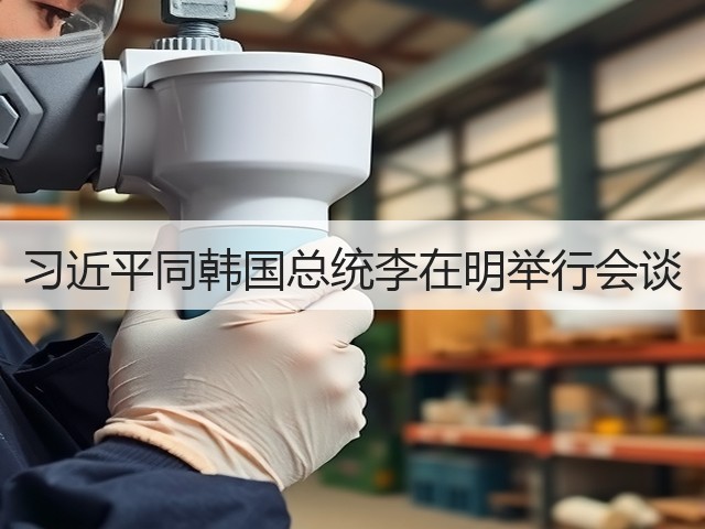习近平同韩国总统李在明举行会谈(图3) 习近平同韩国总统李在明举行会谈(图3)