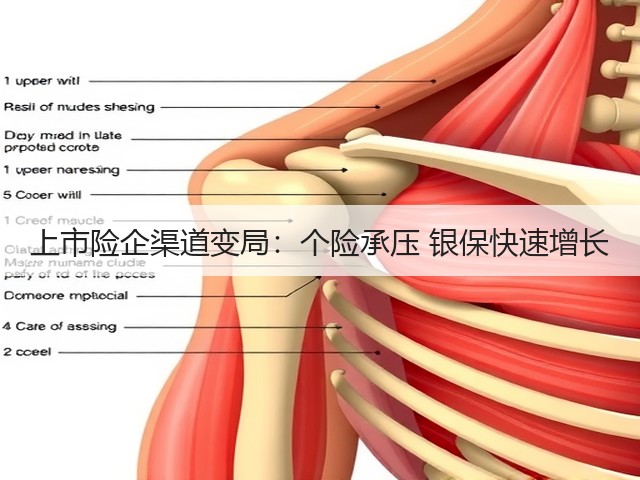 上市险企渠道变局:个险承压 银保快速增长(图1) 上市险企渠道变局:个险承压 银保快速增长(图1)