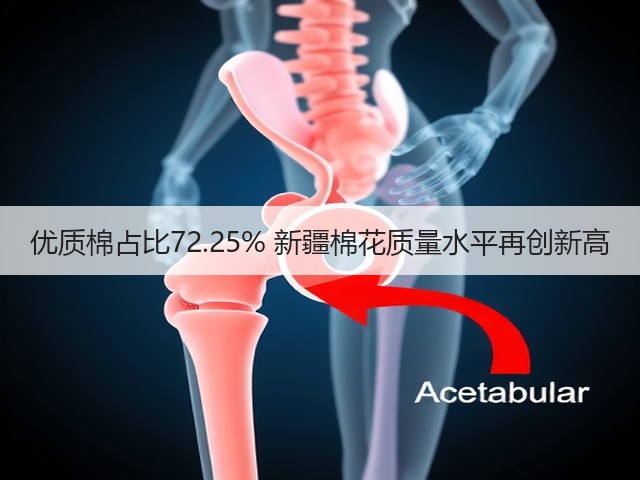 优质棉占比72.25% 新疆棉花质量水平再创新高(图1) 优质棉占比72.25% 新疆棉花质量水平再创新高(图1)