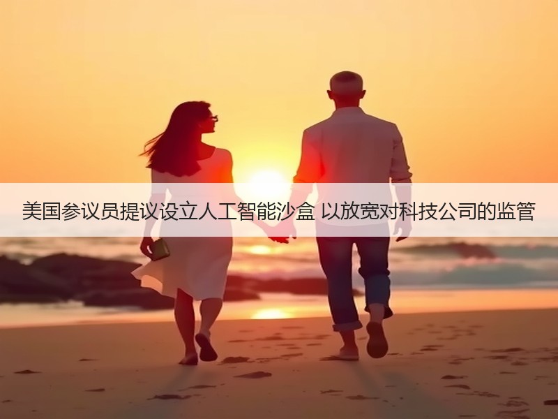 美国参议员提议设立人工智能沙盒 以放宽对科技公司的监管