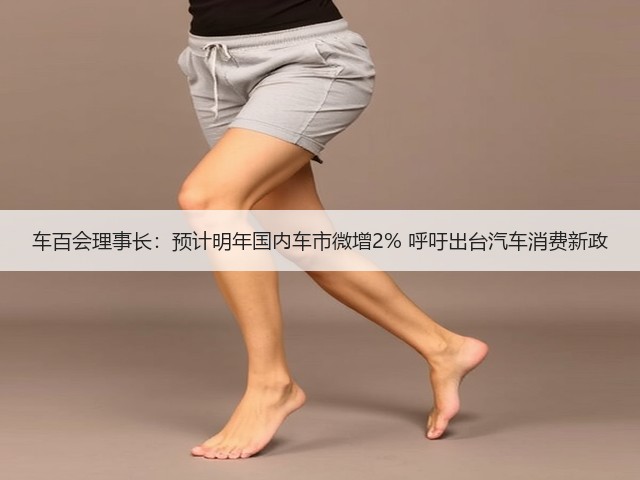 车百会理事长:预计明年国内车市微增2% 呼吁出台汽车消费新政(图2) 车百会理事长:预计明年国内车市微增2% 呼吁出台汽车消费新政(图2)