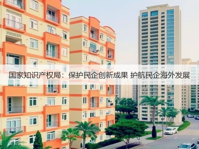 国家知识产权局:保护民企创新成果 护航民企海外发展(图3) 国家知识产权局:保护民企创新成果 护航民企海外发展(图3)
