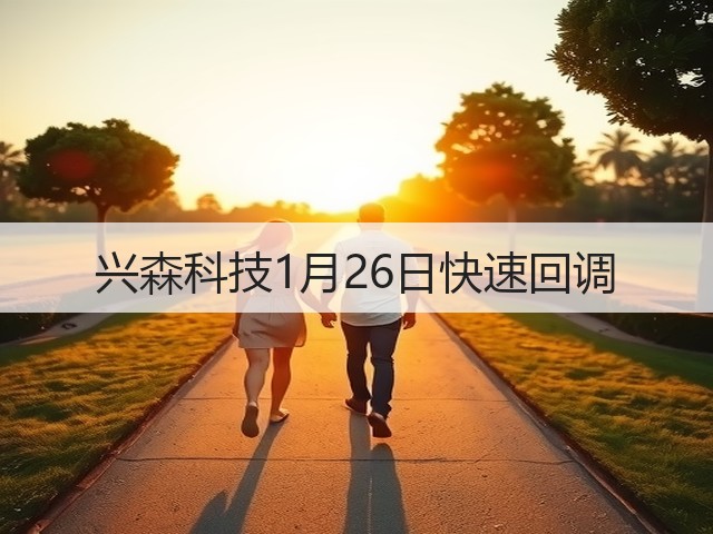 兴森科技1月26日快速回调(图3) 兴森科技1月26日快速回调(图3)