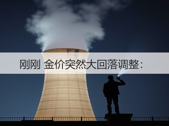 刚刚 金价突然大回落调整:(图2) 刚刚 金价突然大回落调整:(图2)