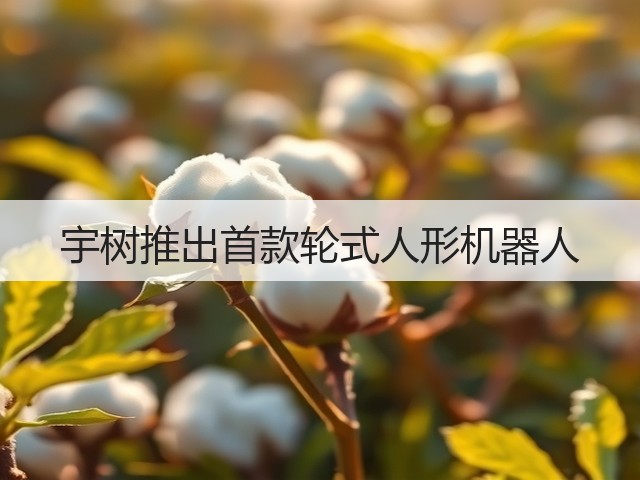 宇树推出首款轮式人形机器人(图3)