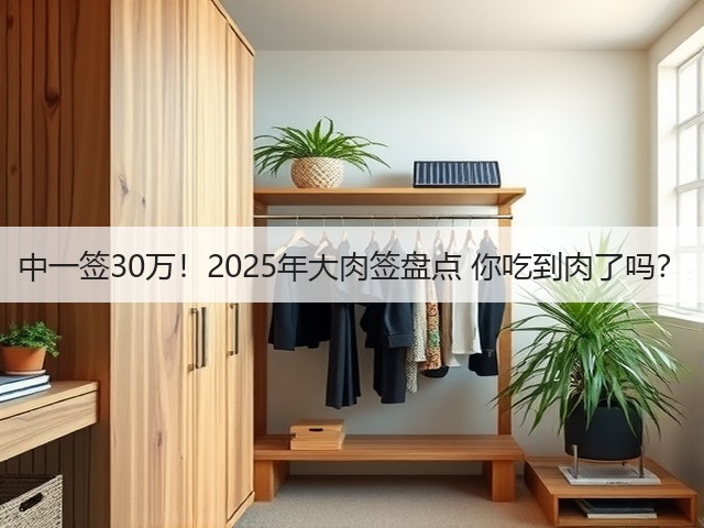 中一签30万！2025年大肉签盘点 你吃到肉了吗？(图2)