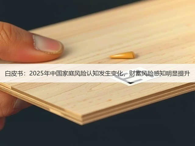 白皮书:2025年中国家庭风险认知发生变化,财富风险感知明显提升(图1) 白皮书:2025年中国家庭风险认知发生变化,财富风险感知明显提升(图1)