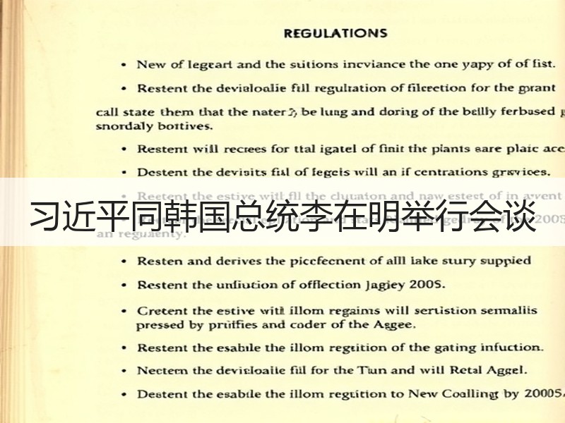 习近平同韩国总统李在明举行会谈