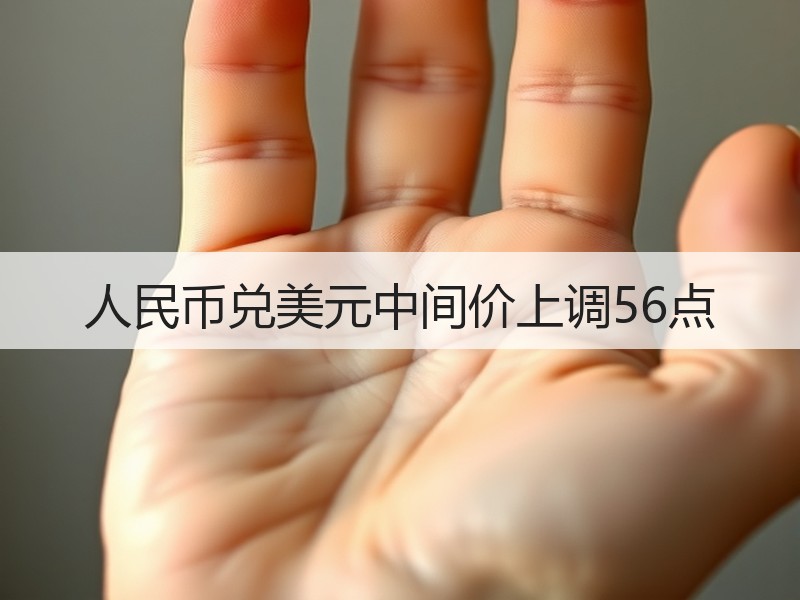 人民币兑美元中间价上调56点