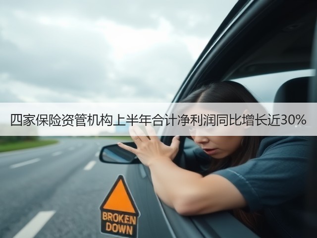 四家保险资管机构上半年合计净利润同比增长近30%(图2)