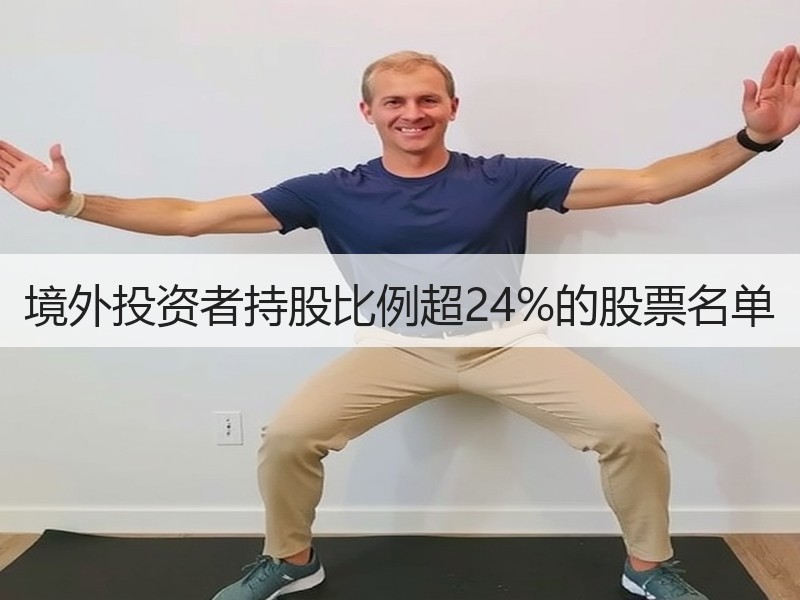境外投资者持股比例超24%的股票名单