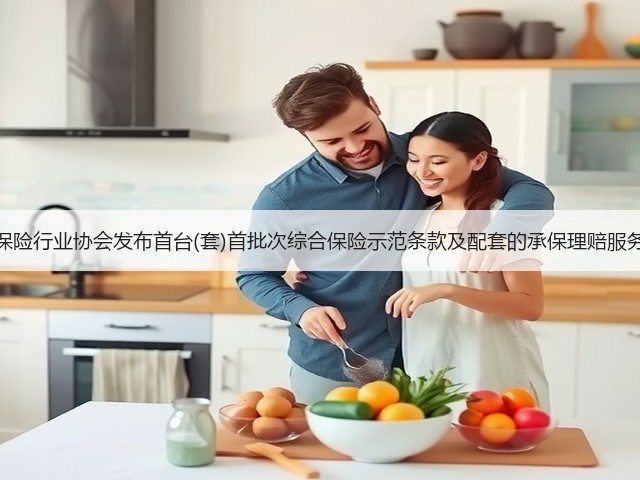 中国保险行业协会发布首台(套)首批次综合保险示范条款及配套的承保理赔服务指引(图3) 中国保险行业协会发布首台(套)首批次综合保险示范条款及配套的承保理赔服务指引(图3)