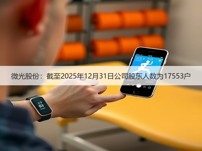 微光股份：截至2025年12月31日公司股东人数为17553户