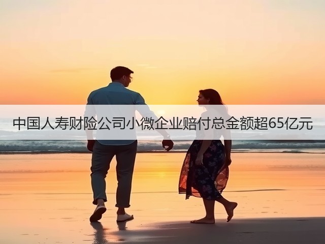 中国人寿财险公司小微企业赔付总金额超65亿元(图2)