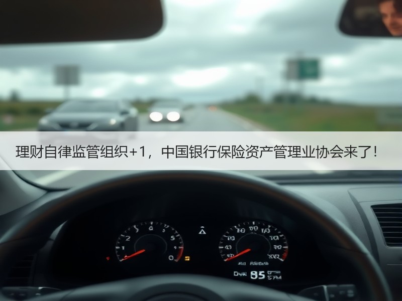 理财自律监管组织+1，中国银行保险资产管理业协会来了！