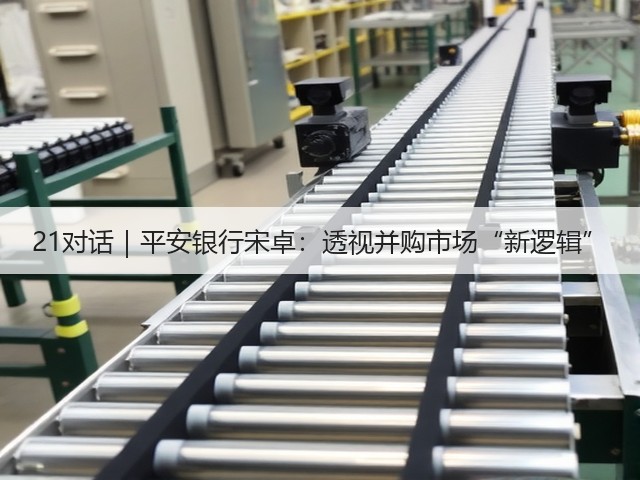 21对话|平安银行宋卓:透视并购市场“新逻辑”(图3) 21对话|平安银行宋卓:透视并购市场“新逻辑”(图3)