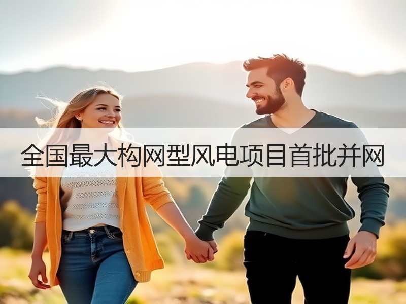 全国最大构网型风电项目首批并网