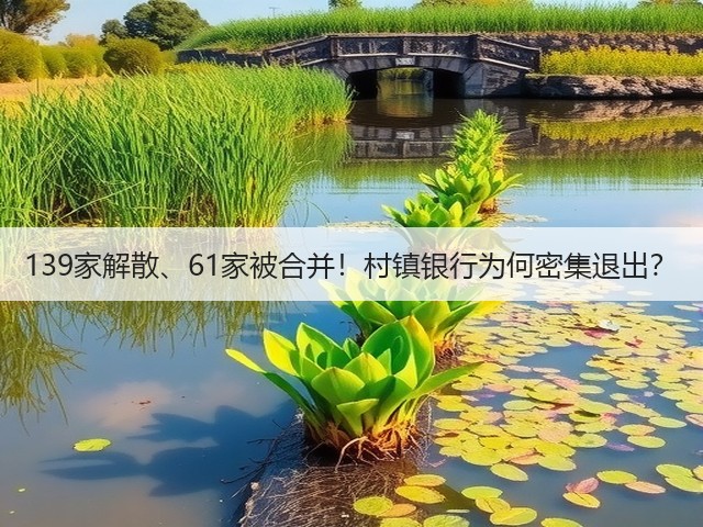 139家解散、61家被合并!村镇银行为何密集退出?(图2) 139家解散、61家被合并!村镇银行为何密集退出?(图2)