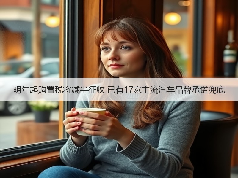 明年起购置税将减半征收 已有17家主流汽车品牌承诺兜底