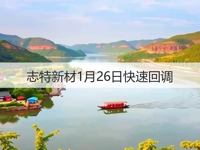 志特新材1月26日快速回调(图2)