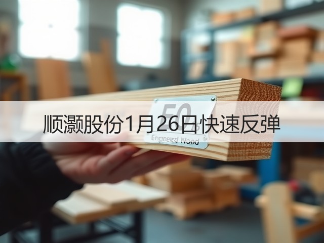 顺灏股份1月26日快速反弹(图2) 顺灏股份1月26日快速反弹(图2)