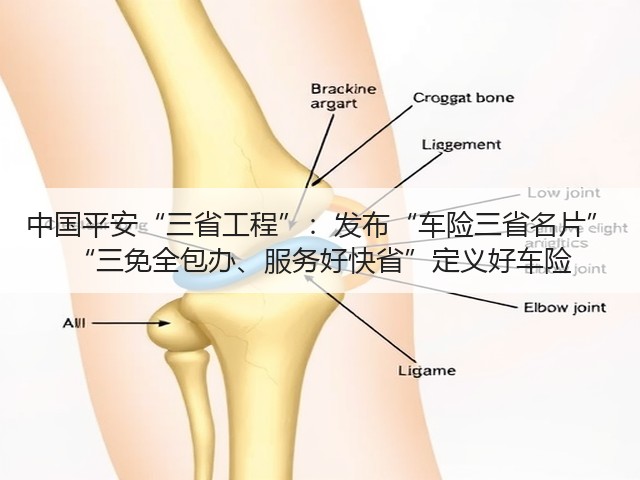 中国平安“三省工程”：发布“车险三省名片” “三免全包办、服务好快省”定义好车险(图1)