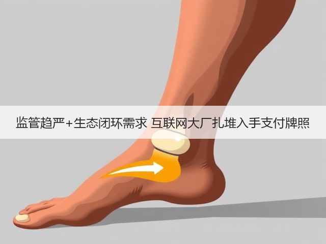 监管趋严+生态闭环需求 互联网大厂扎堆入手支付牌照(图2) 监管趋严+生态闭环需求 互联网大厂扎堆入手支付牌照(图2)