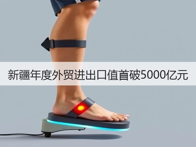 新疆年度外贸进出口值首破5000亿元(图1) 新疆年度外贸进出口值首破5000亿元(图1)