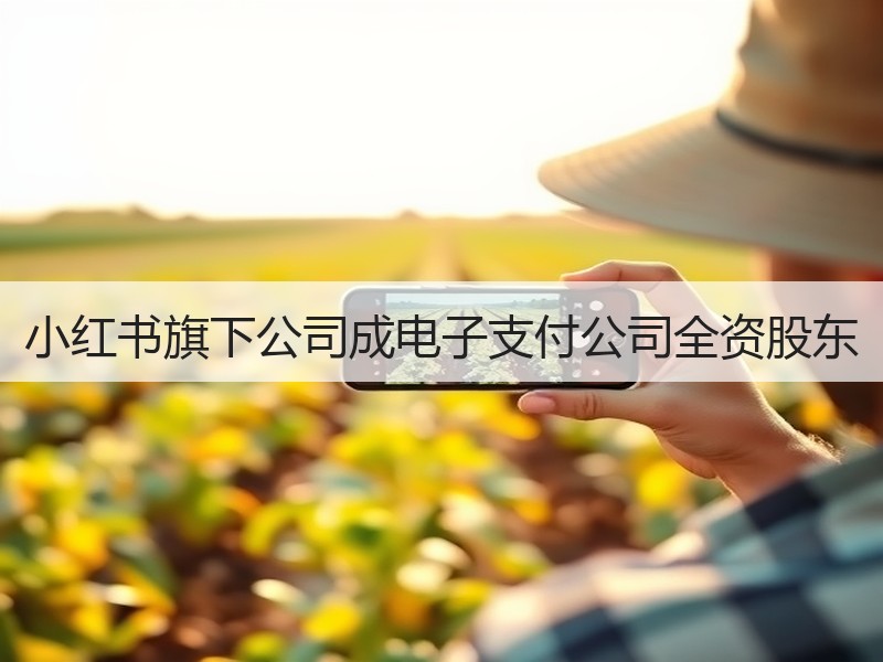 小红书旗下公司成电子支付公司全资股东
