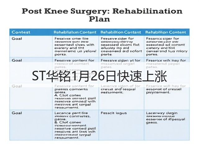 ST华铭1月26日快速上涨(图3) ST华铭1月26日快速上涨(图3)