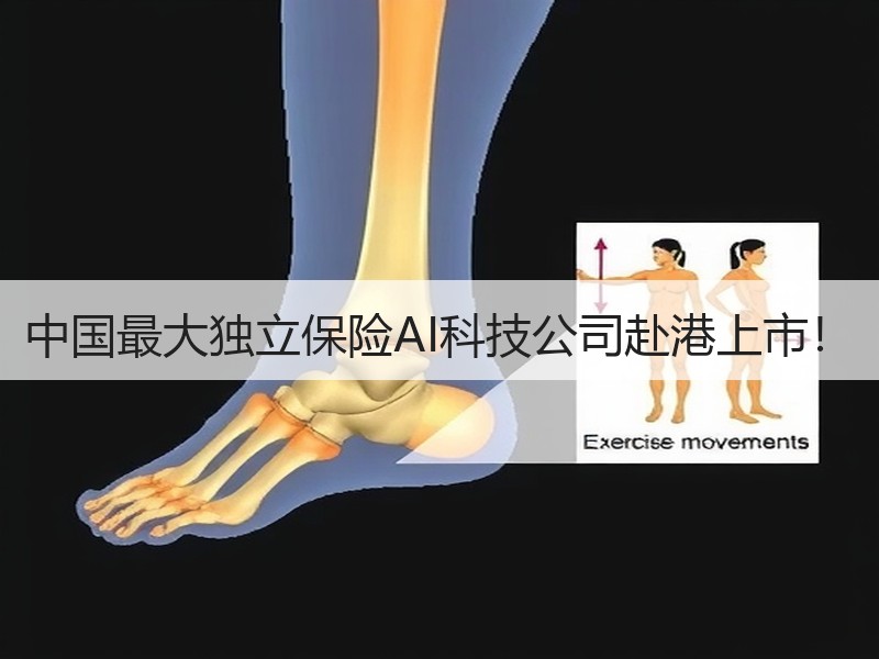 中国最大独立保险AI科技公司赴港上市！